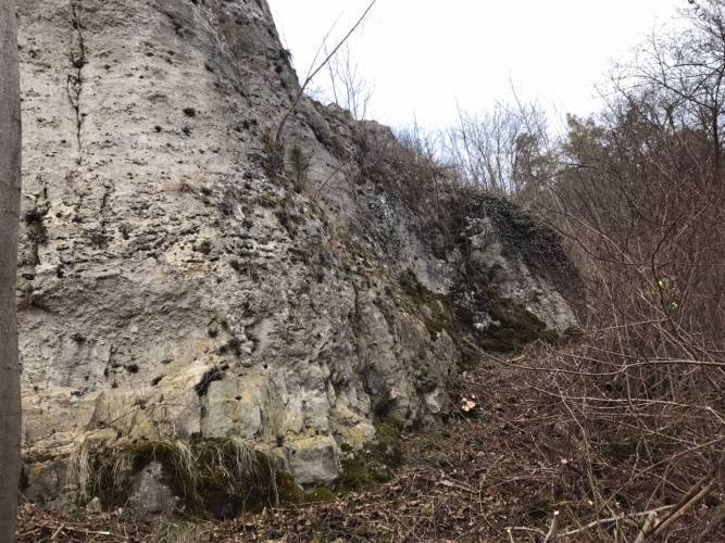 Ansicht einer Felswand