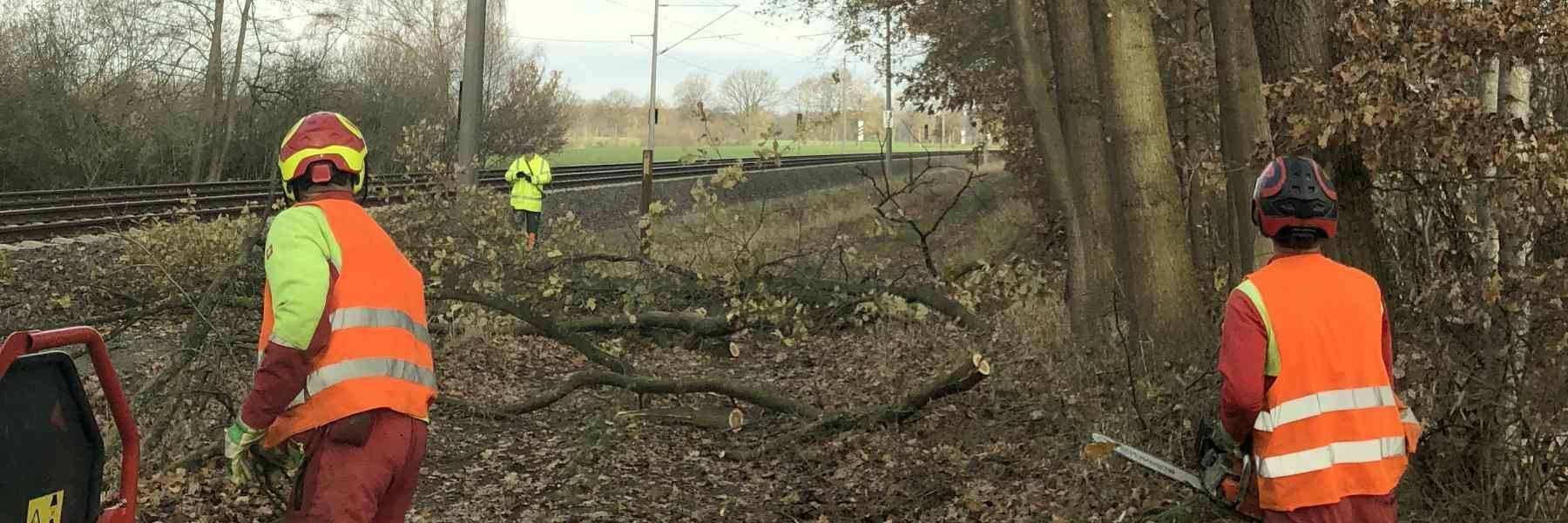 Freischneiden von Bahngleisen